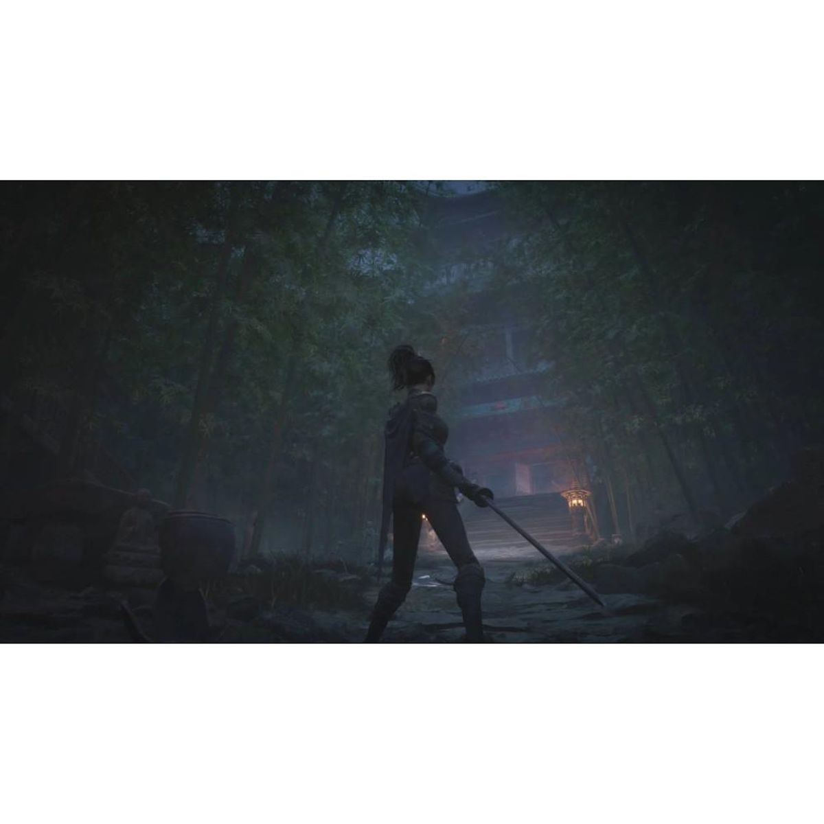 Just for games WUCHANG: Fallen Feathers - Jeu PS5