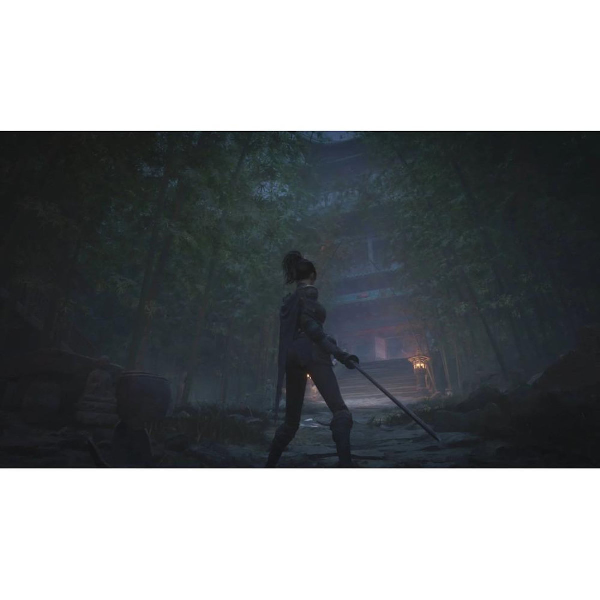 Just for games WUCHANG: Fallen Feathers - Jeu PS5