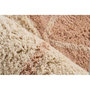 Voir la diapositive 3 : Paris Prix Tapis Tufté à la Main Ethnique  Mylen II  Beige & Rose