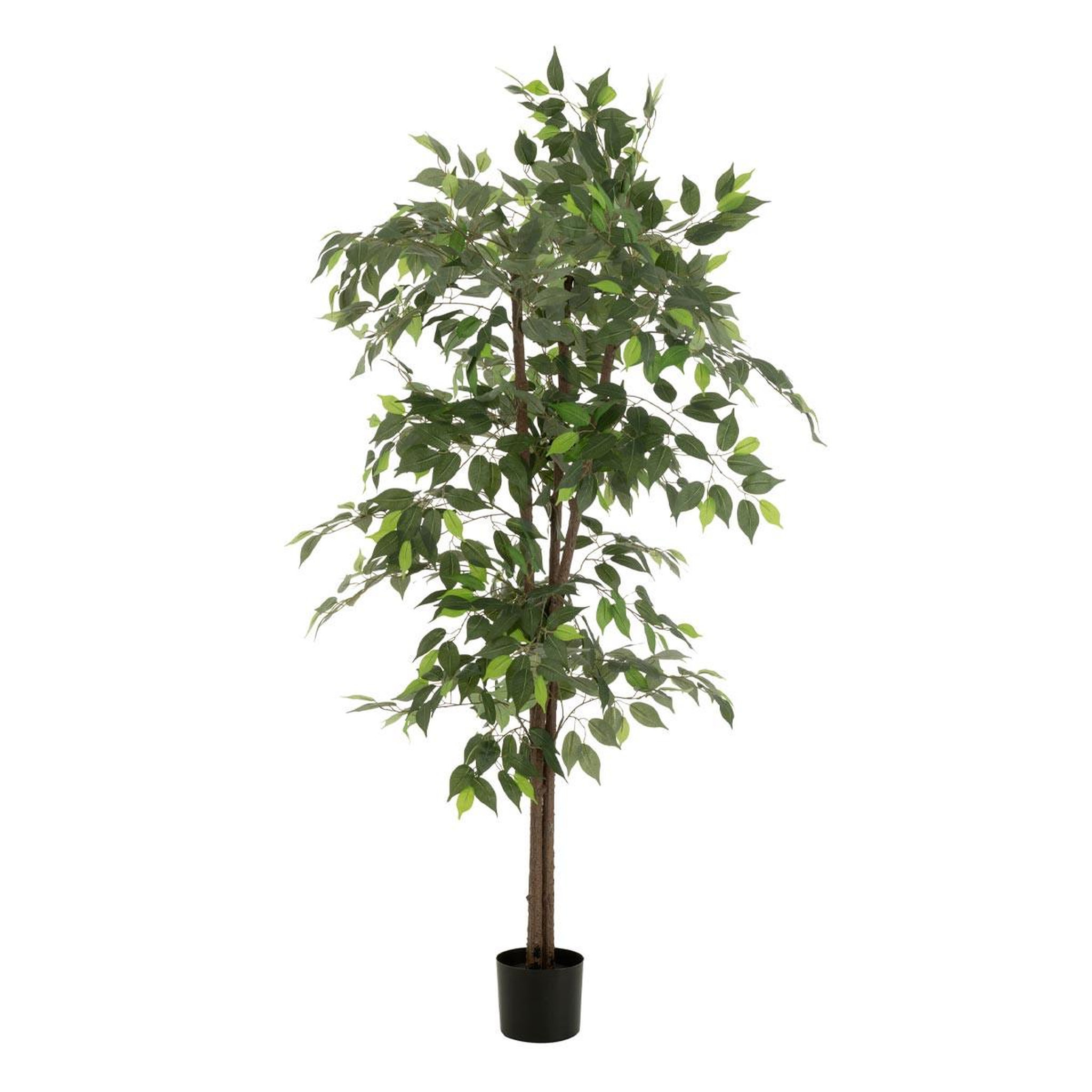 J-LINE Plante artificielle en pot  ficus  180cm vert