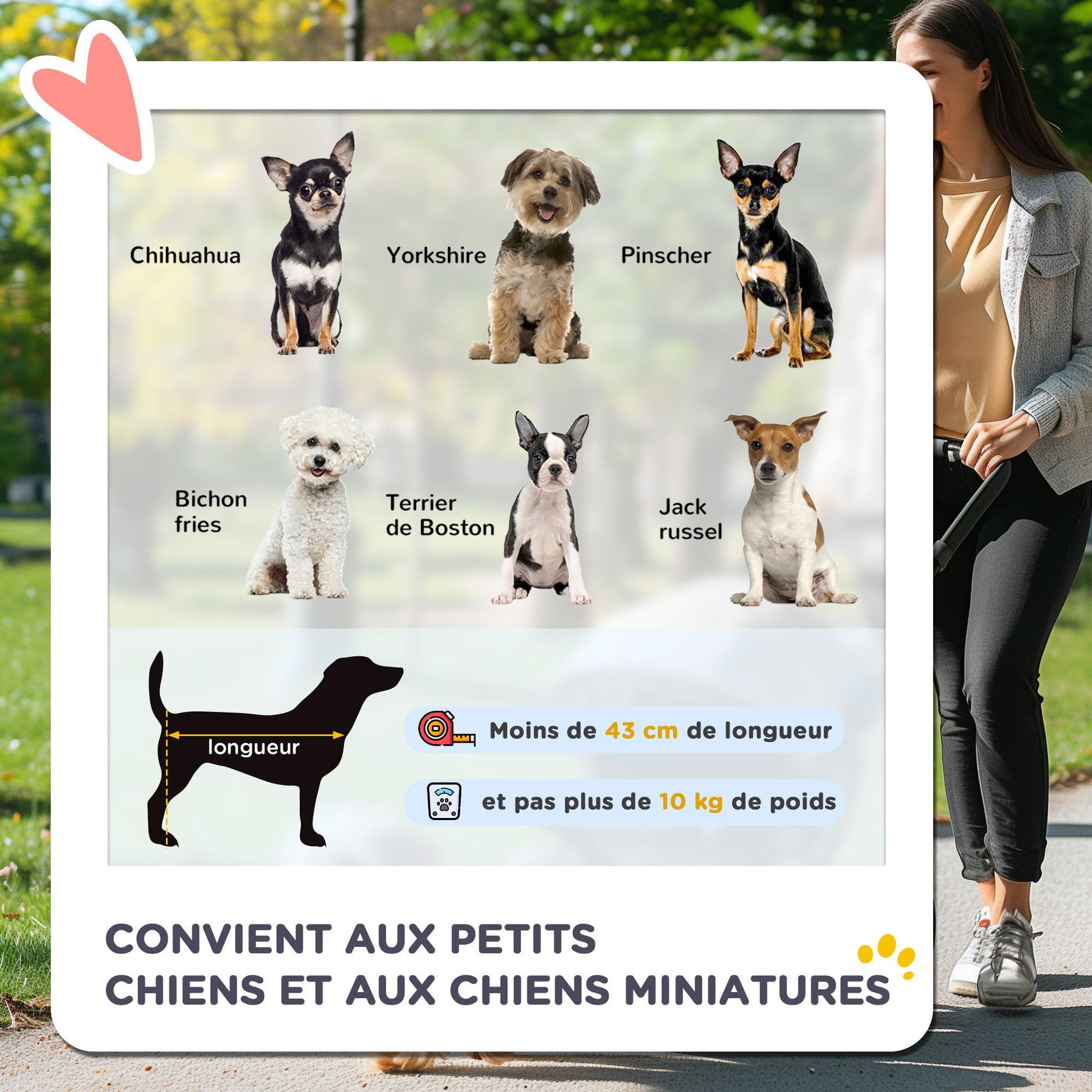 Voir la diapositive 4 : PAWHUT Poussette buggy pliable chien chat panier et sac de rangement attaches sécurité housse réglable poignée réglable acier oxford gris