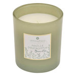 COMPTOIR DE LA BOUGIE Bougie Parfumée  Mael  190g Feuille d'Eucalyptus