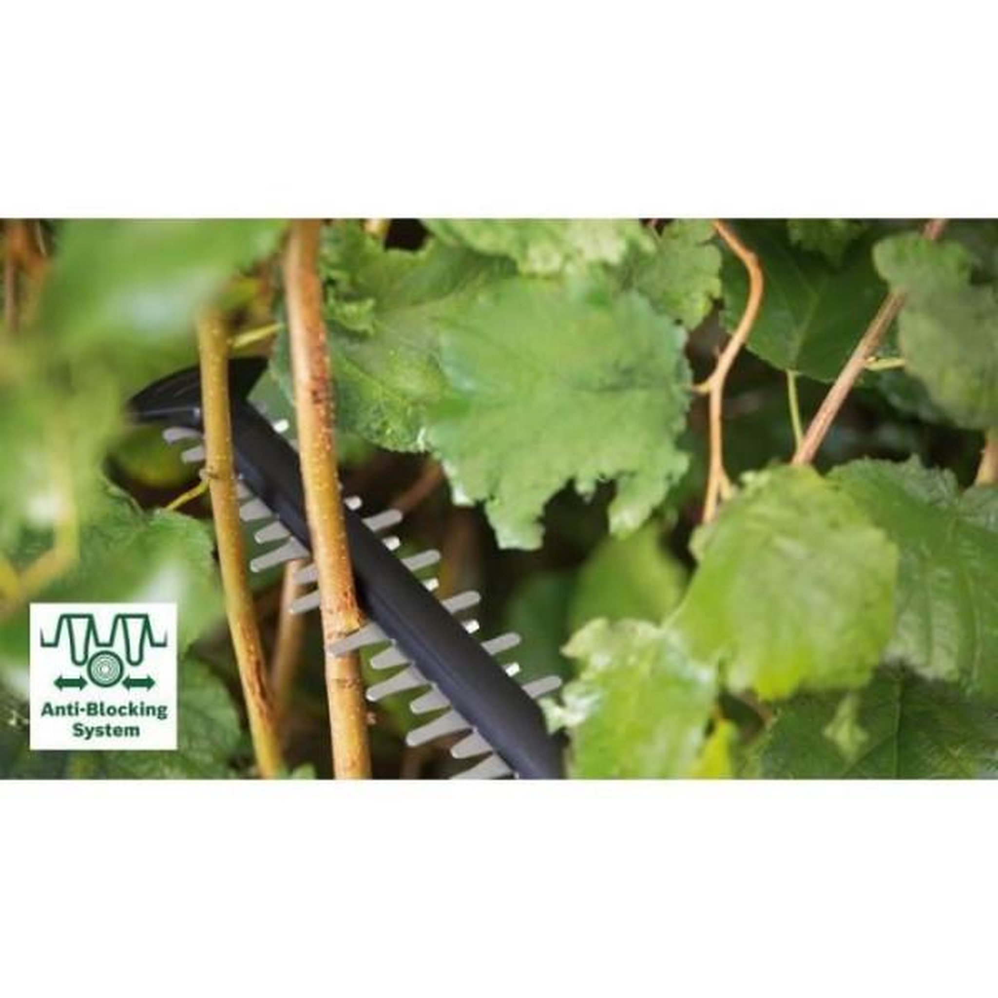 Voir la diapositive 2 : BOSCH Taille-haies sans fil advanced hedge cut 36v-65-28