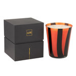 Paris Prix Bougie Parfumée  Noa  20cm Wild Protea & Rhubarb