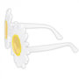 Voir la diapositive 3 : Boland Lunettes fantaisie Party - Daisy