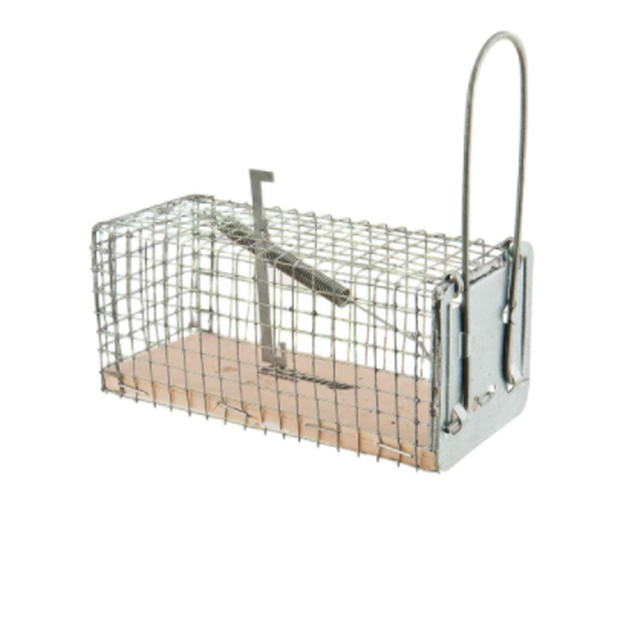 Voir la diapositive 1 : WERKAPRO Nasse pour souris 11x5,5x5,5 cm WERKA PRO