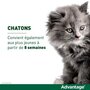  Advantage Solution Antipuce Chat Lapin 1 a 4kg 6 pipettes