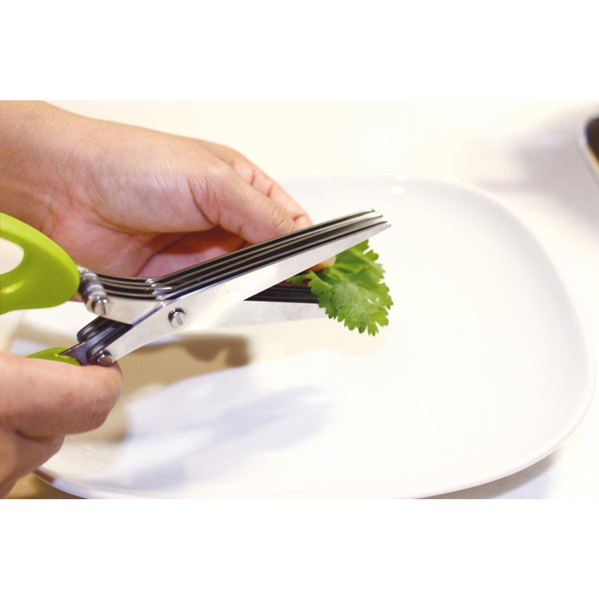 Fackelmann Ciseaux pour herbes aromatiques avec brosse de nettoyage Fackelmann Basic