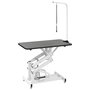 Voir la diapositive 1 : VIDAXL Table Toilettage Ajustable Hydraulique pour Chiens Chats Animaux
