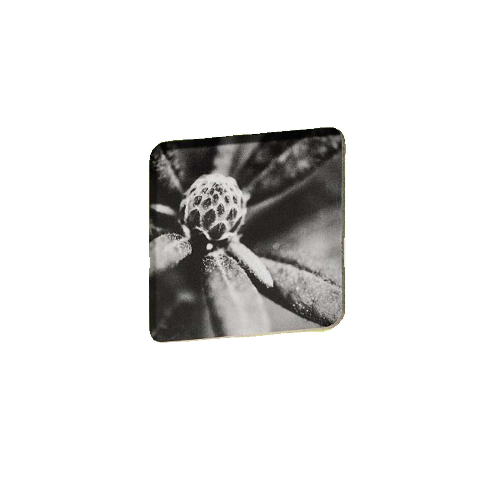 Hama Album photo Hama fine art 50 pages verte