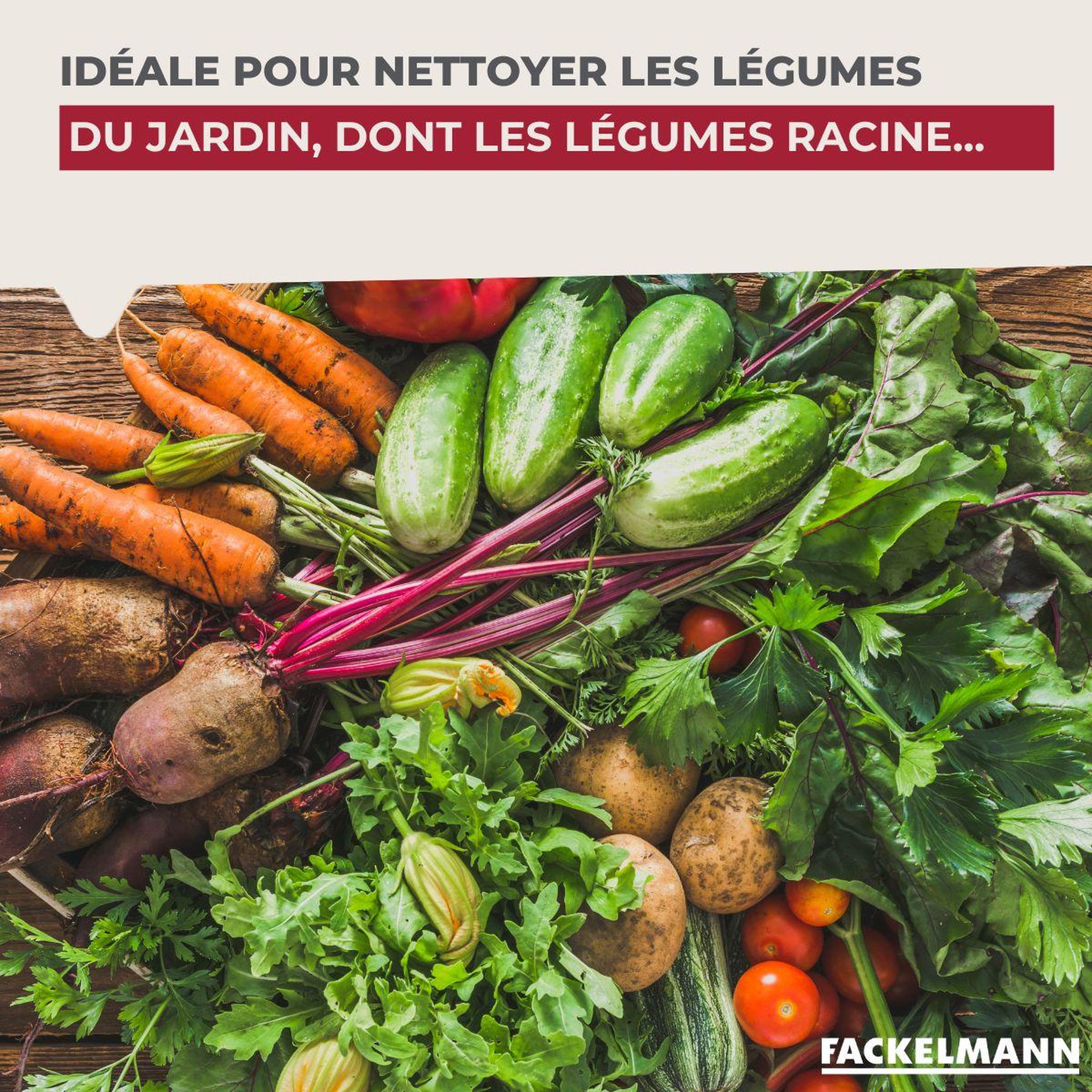Voir la diapositive 6 : Fackelmann Brosse à légumes en bois fackelmann wood edition