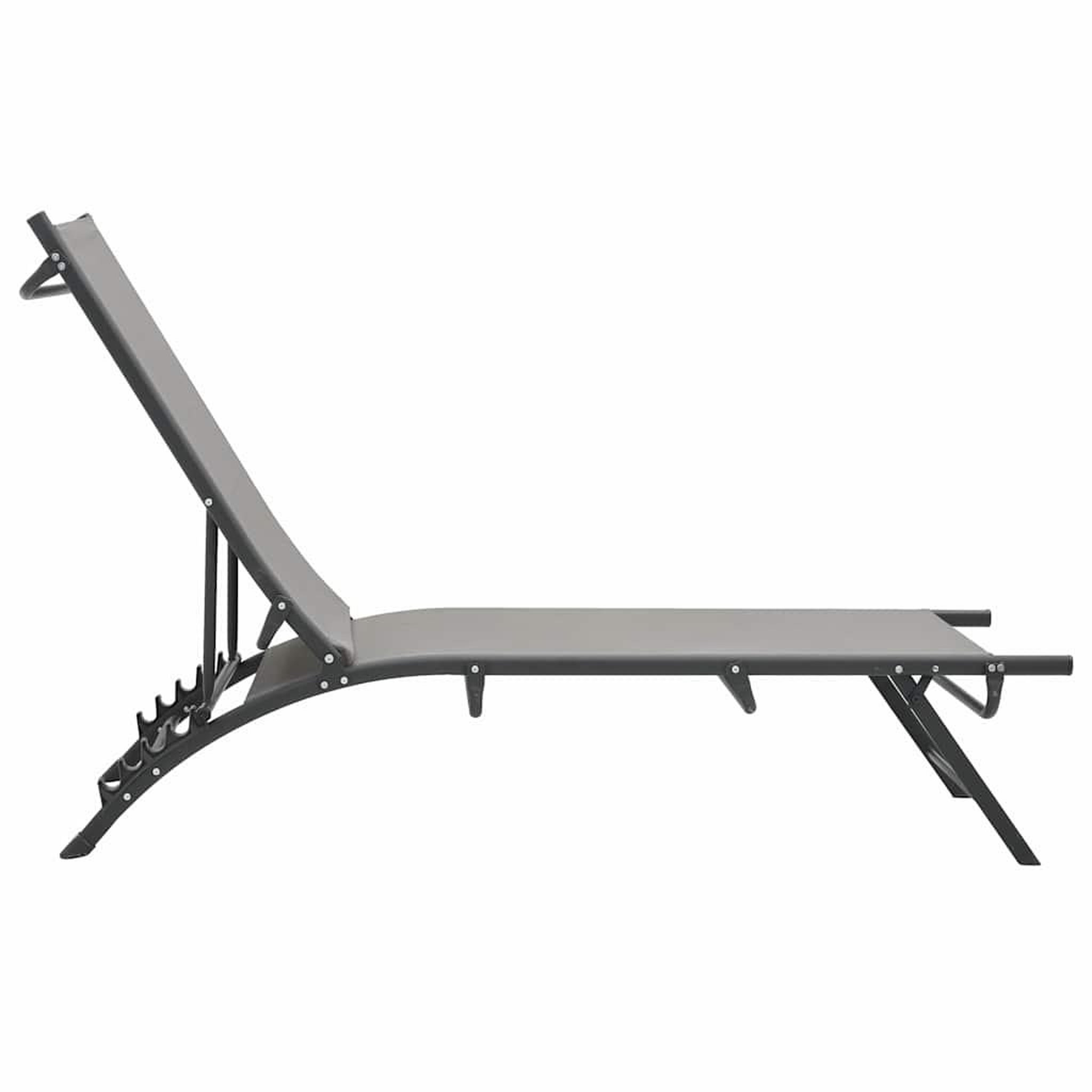 Voir la diapositive 3 : VIDAXL Chaises longues lot de 2 textilene et acier