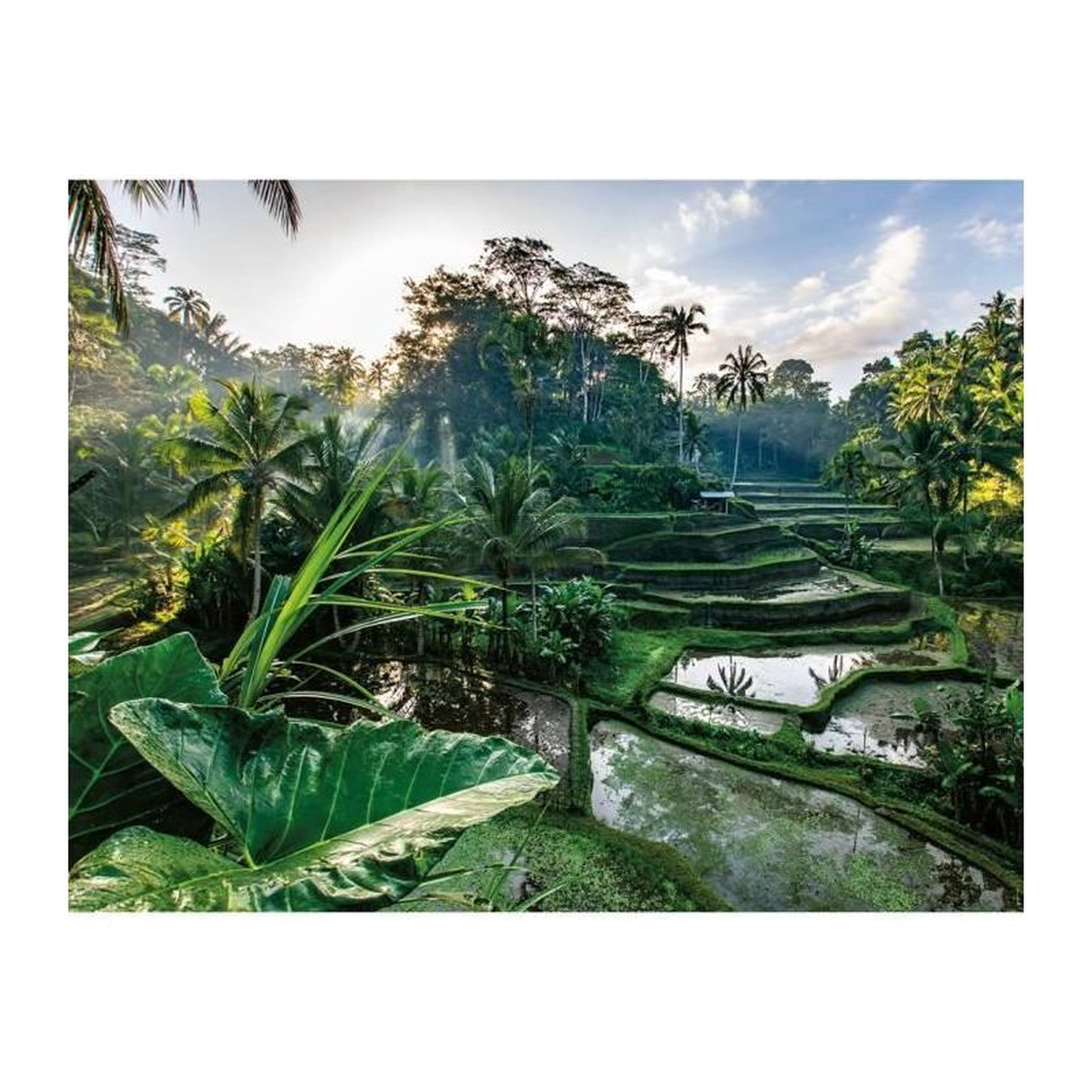 RAVENSBURGER Puzzle 2000 pièces - Au cœur de Bali - Collection Évasion - Nathan - Pour adultes et enfants - Dès 14 ans