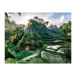 RAVENSBURGER Puzzle 2000 pièces - Au cœur de Bali - Collection Évasion - Nathan - Pour adultes et enfants - Dès 14 ans