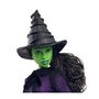 Voir la diapositive 6 : MATTEL Mattel-Wicked-Poupée Elphaba avec cheveux tressés et multiples poses - Wicked - HXY38