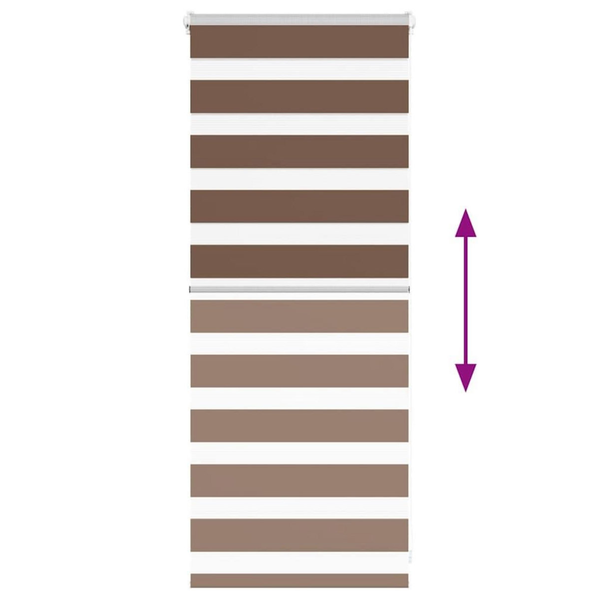 VIDAXL Store zebre marron 55x100 cm largeur du tissu 50,9 cm polyester