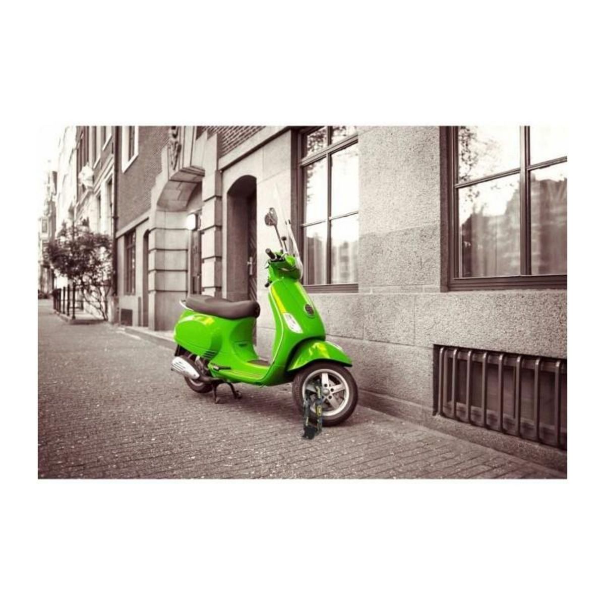 BURG WACHTER Ancre de sécurité - BURG WACHTER - SA 1280 SB - Acier, fixation murale/sol, anse acier trempé 10 mm