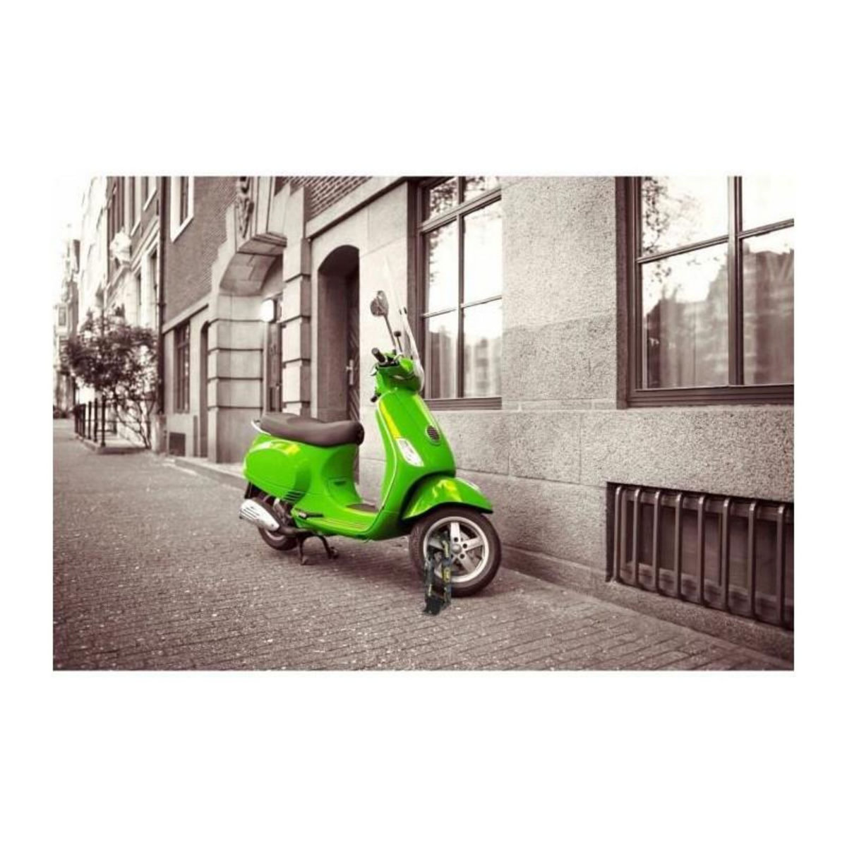 BURG WACHTER Ancre de sécurité - BURG WACHTER - SA 1280 SB - Acier, fixation murale/sol, anse acier trempé 10 mm