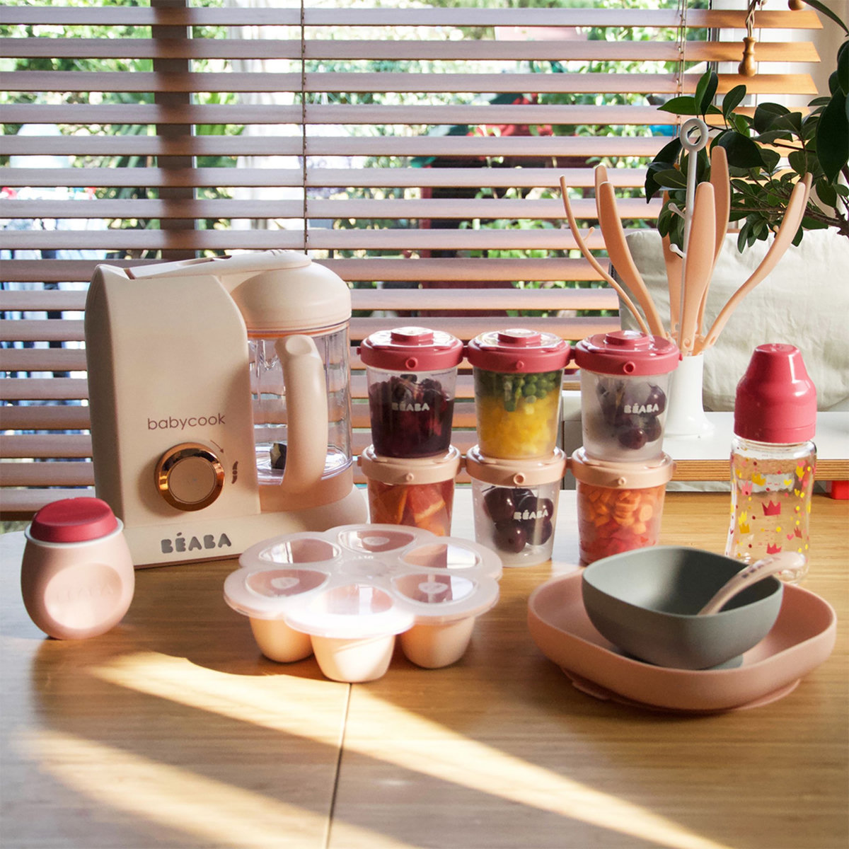 BEABA Lot de 6 portions clip 2ème âge 200ml 