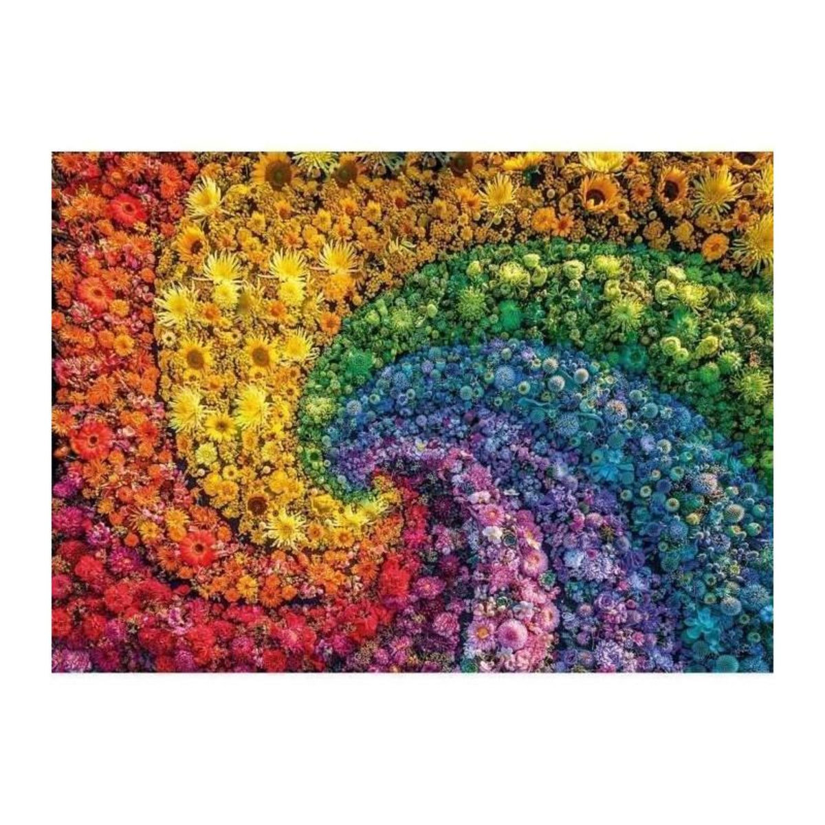 CLEMENTONI Clementoni - Colorboom collection - 1000 pieces - Whirl