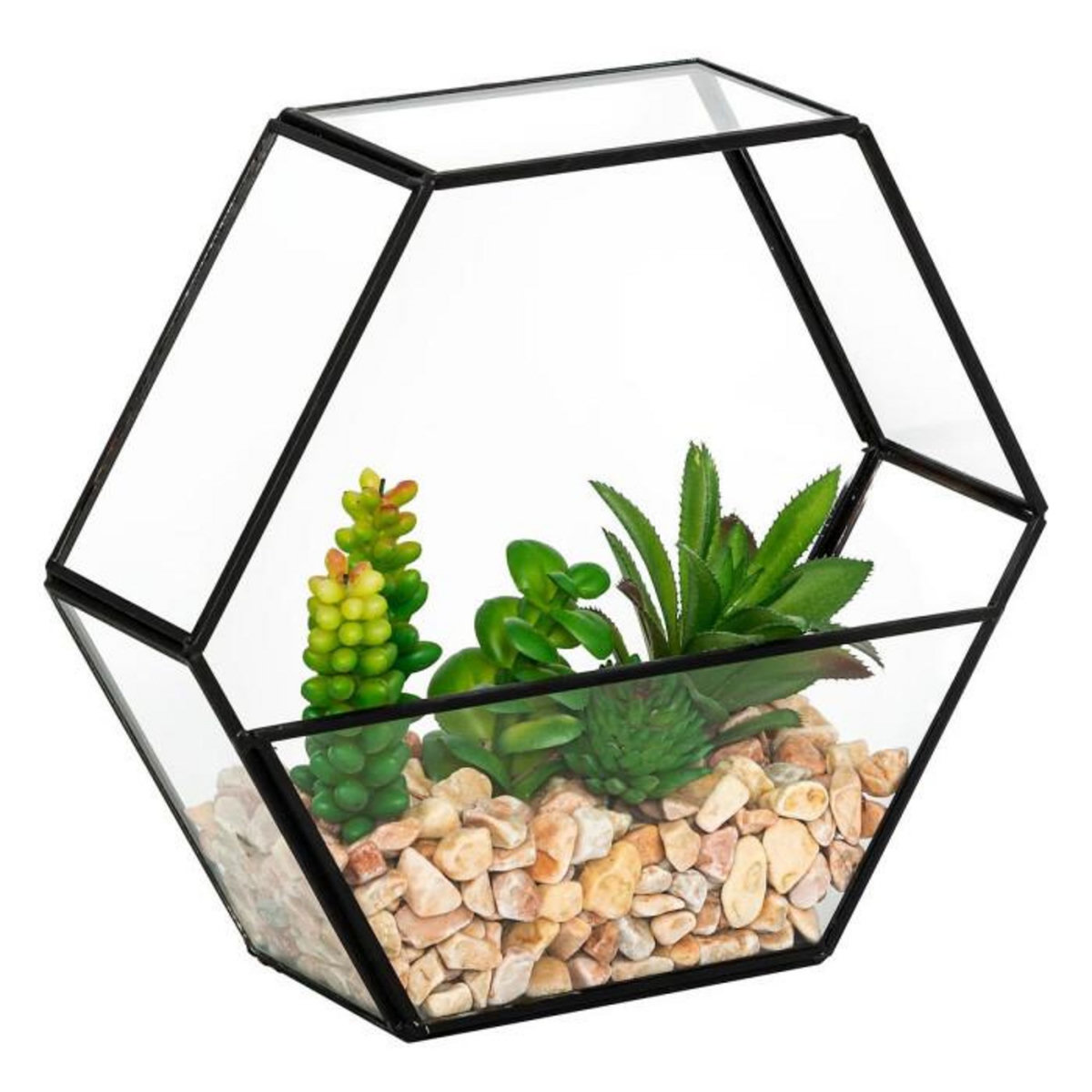 ATMOSPHERA Terrarium Hexagonal en Verre  Pia  20cm Noir