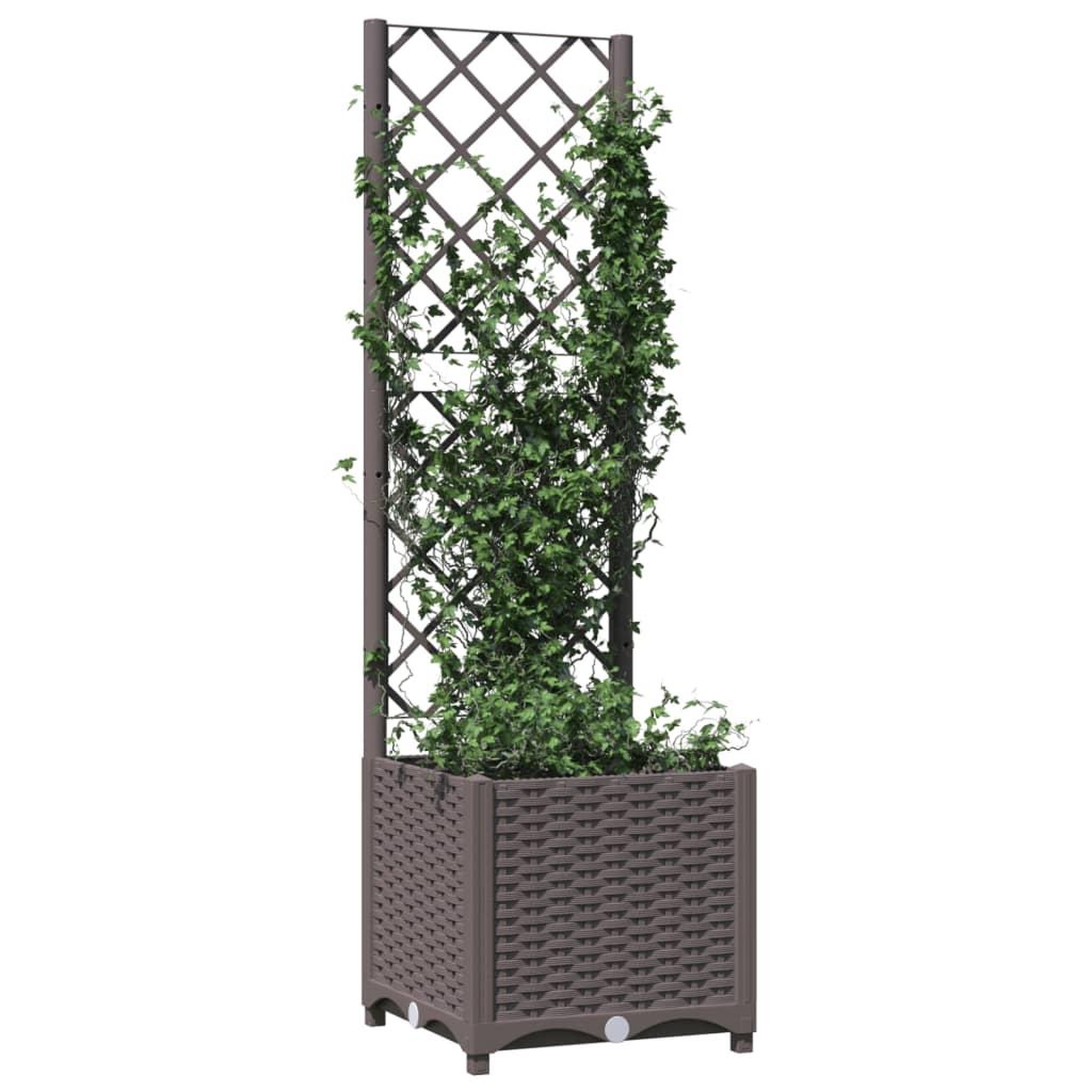 Voir la diapositive 3 : VIDAXL Jardiniere avec treillis Marron 40x40x136 cm PP