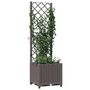 Voir la diapositive 3 : VIDAXL Jardiniere avec treillis Marron 40x40x136 cm PP