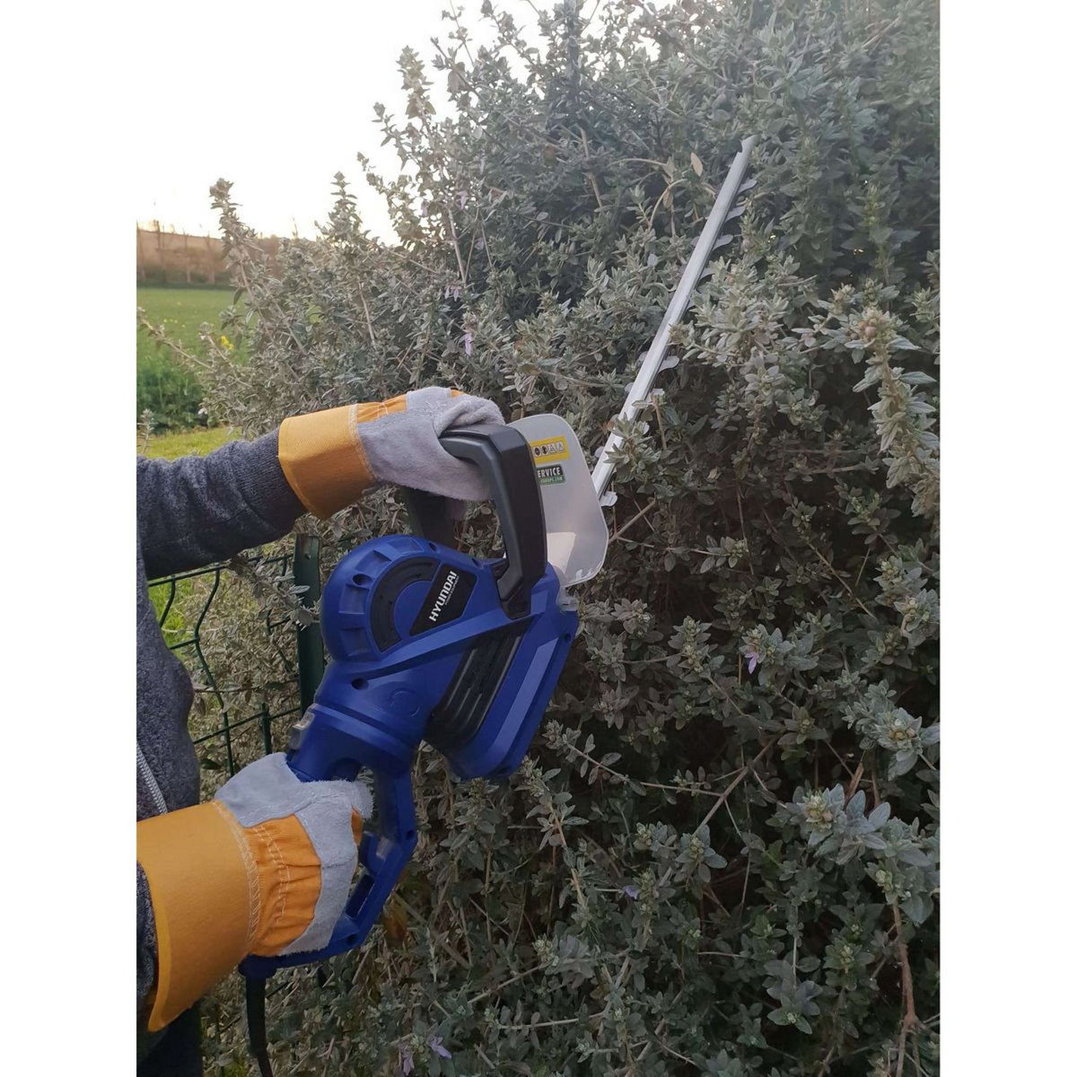 HYUNDAI Taille-haie électrique 710 W 55 cm 24 mm - Poignée arrière rotative à 180°