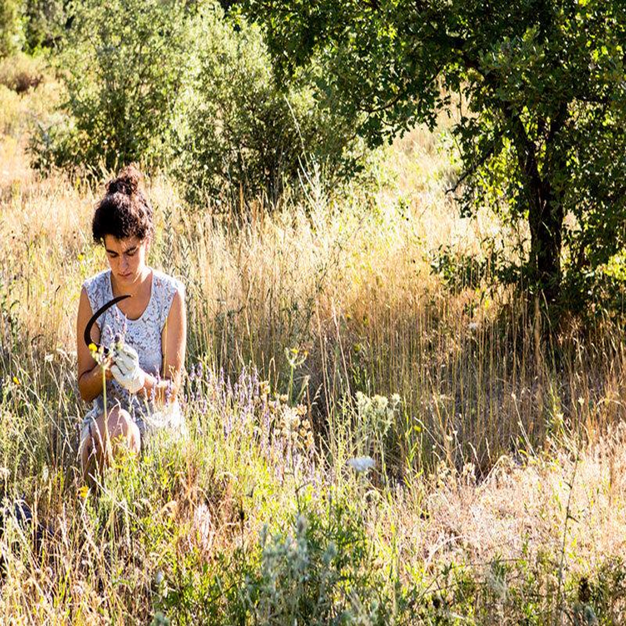 Voir la diapositive 2 : Smartbox Balade à la découverte des plantes sauvages dans une ferme du luberon - coffret cadeau sport & aventure