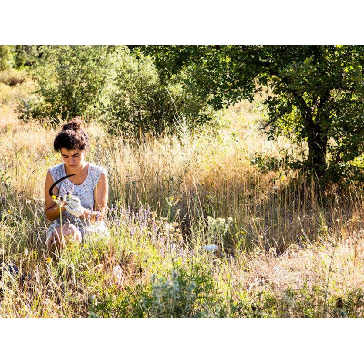 Smartbox Balade à la découverte des plantes sauvages dans une ferme du Luberon - Coffret Cadeau Sport & Aventure