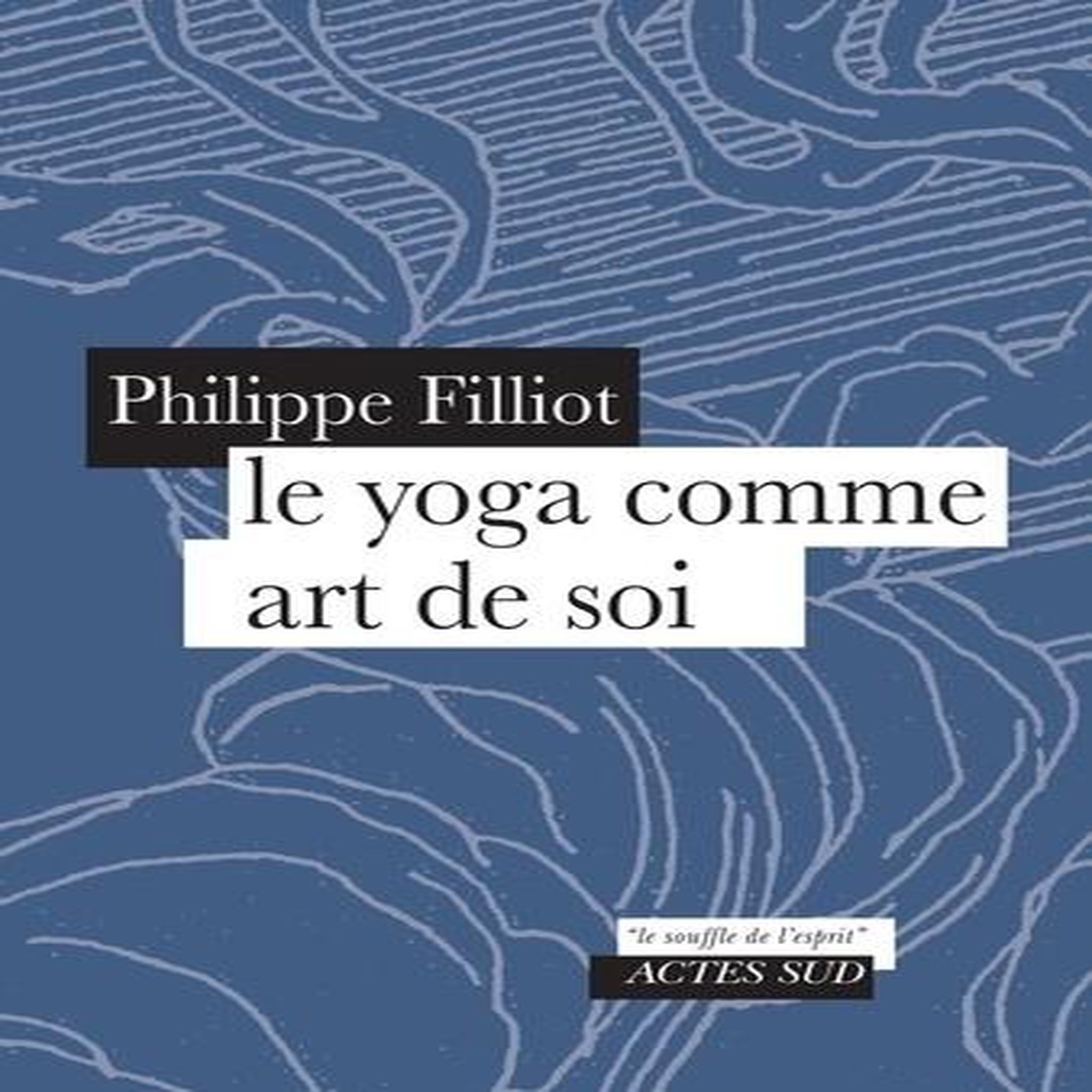 LE YOGA COMME ART DE SOI, Filliot Philippe