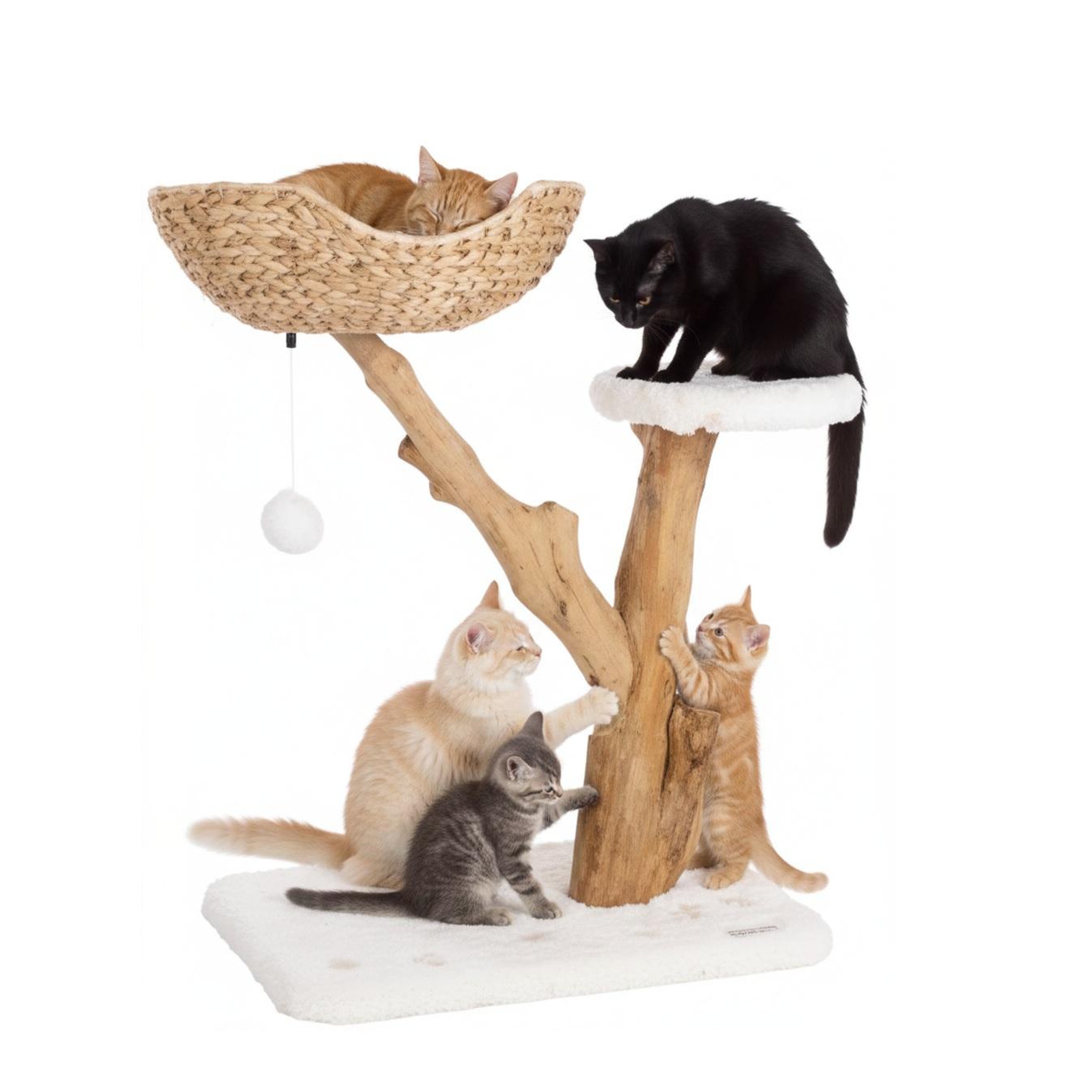 Voir la diapositive 4 : Eden Arbre a griffer design avec panier