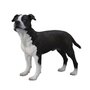 Figurines Collecta Figurine Chien : American Staffordshire Terrier
