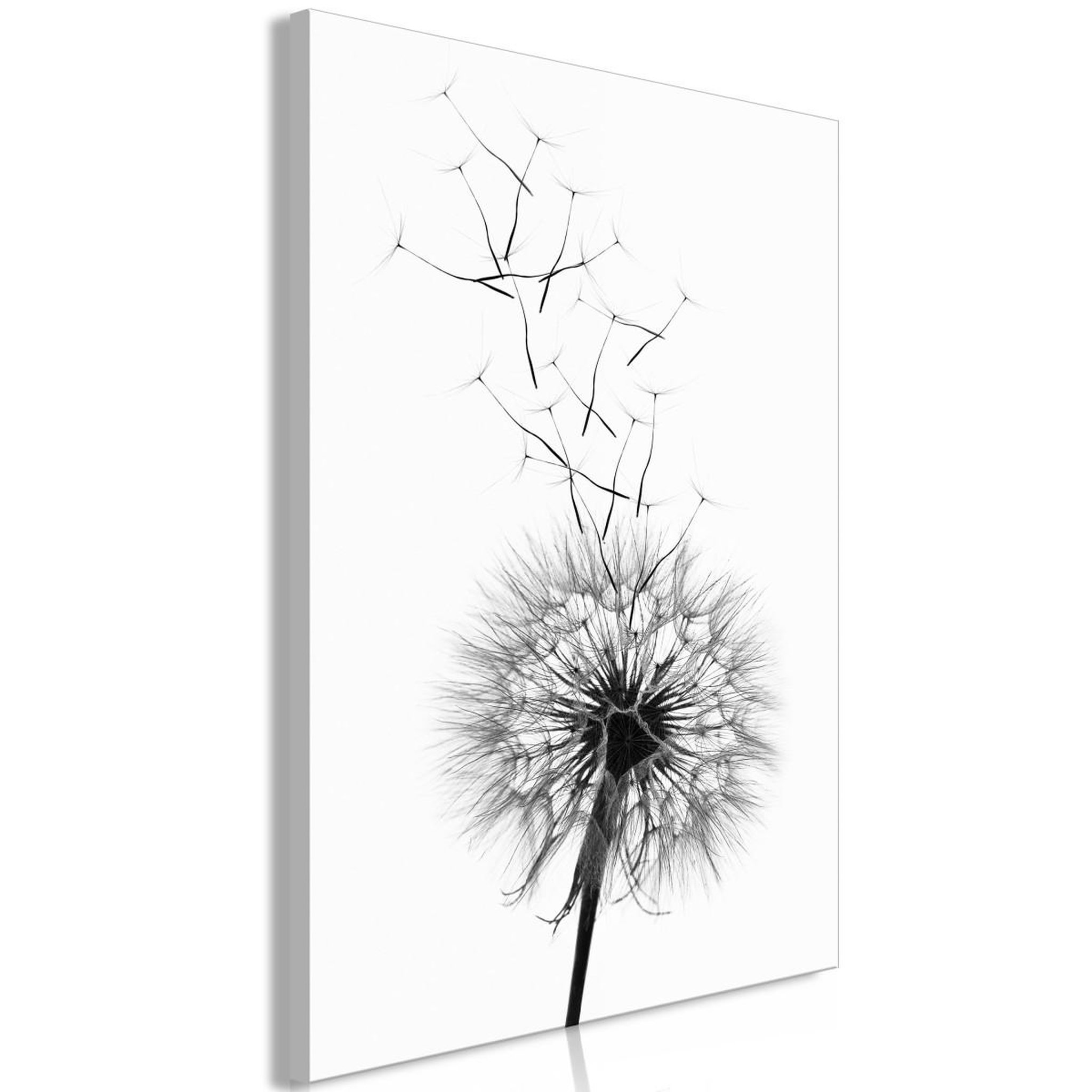 Voir la diapositive 1 : Paris Prix Tableau Imprimé  Dandelion
