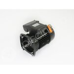 Pentair Moteur pour pompes Ultraflow, Whisperflow et Superflo 1,50 CV Mono - Pentair