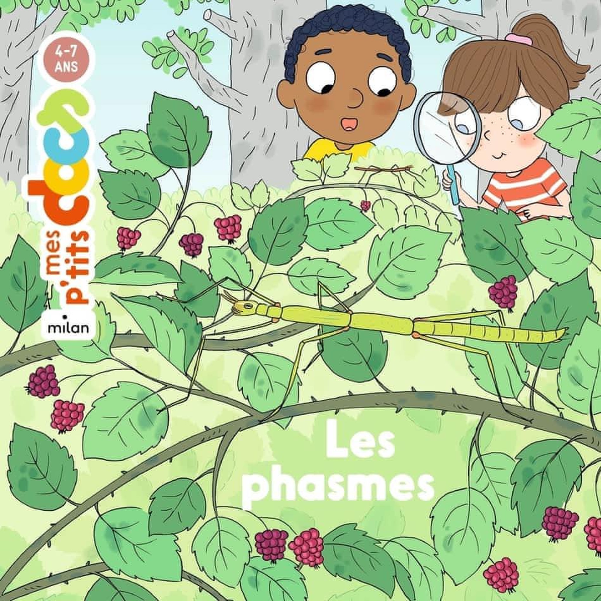 LES PHASMES, Ledu Stéphanie