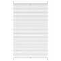 Voir la diapositive 2 : VIDAXL Store plisse 90x150 cm Blanc
