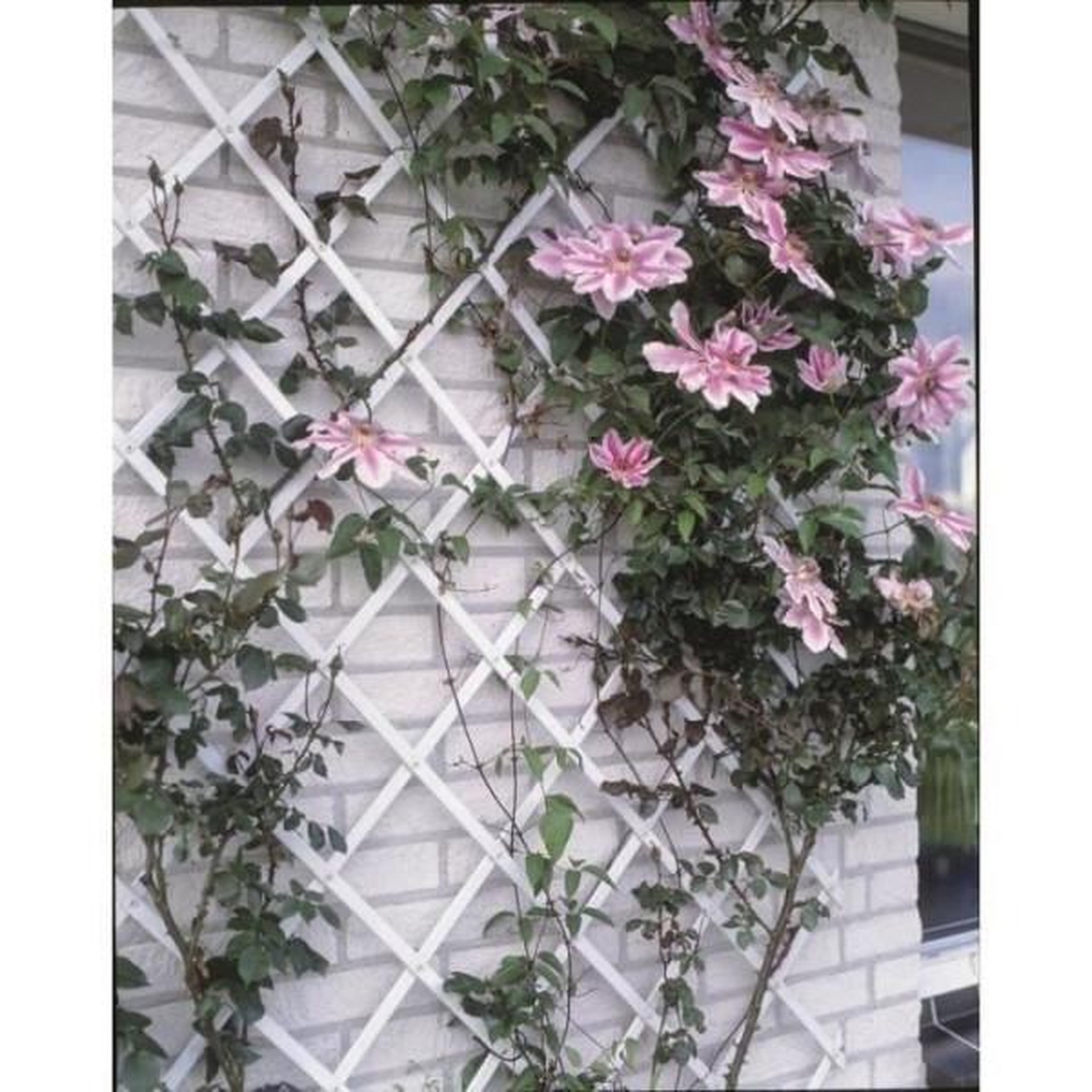 NATURE Treillis extensible plastique vert - NATURE - 100x200cm - Profil 23x7 mm - Set de fixation