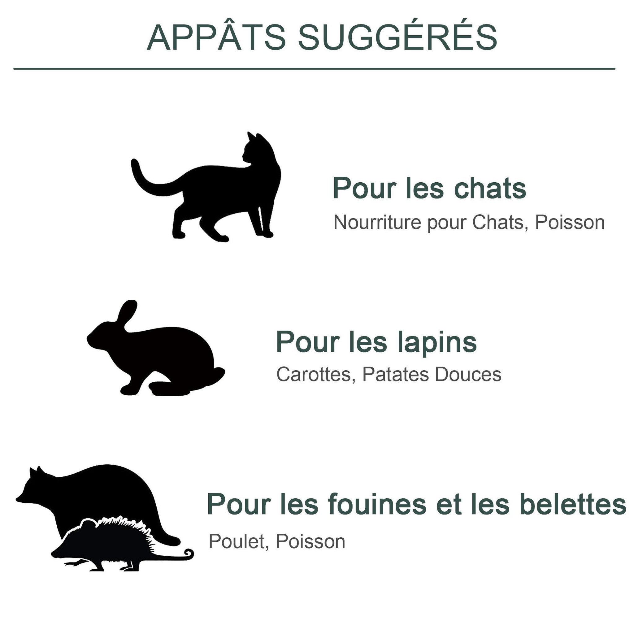 Voir la diapositive 6 : PAWHUT Piège de capture pour petits animaux type lapin rat - 2 entrées + poignée - dim. 100L x 25l x 28H cm - métal vert