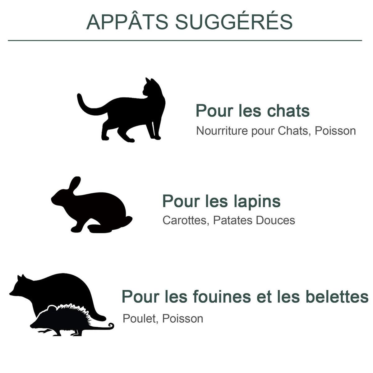 PAWHUT Piège de capture pour petits animaux type lapin rat - 2 entrées + poignée - dim. 100L x 25l x 28H cm - métal vert