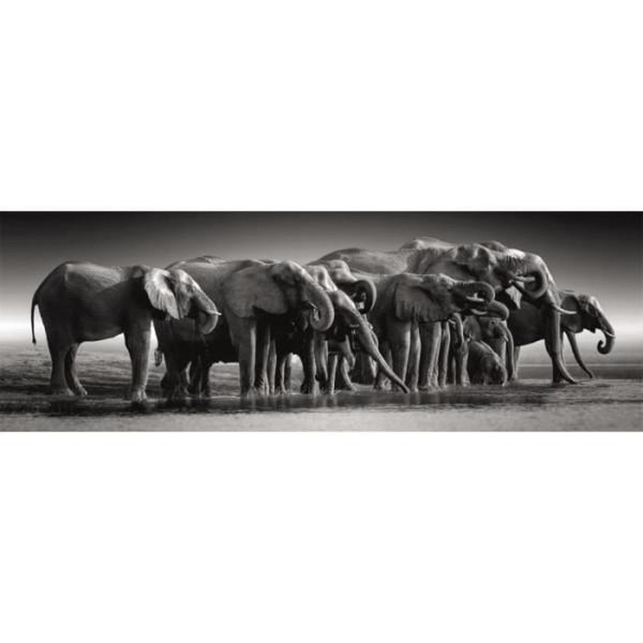 Voir la diapositive 2 : CLEMENTONI Clementoni - compact 1000 pieces panorama - herd of giants