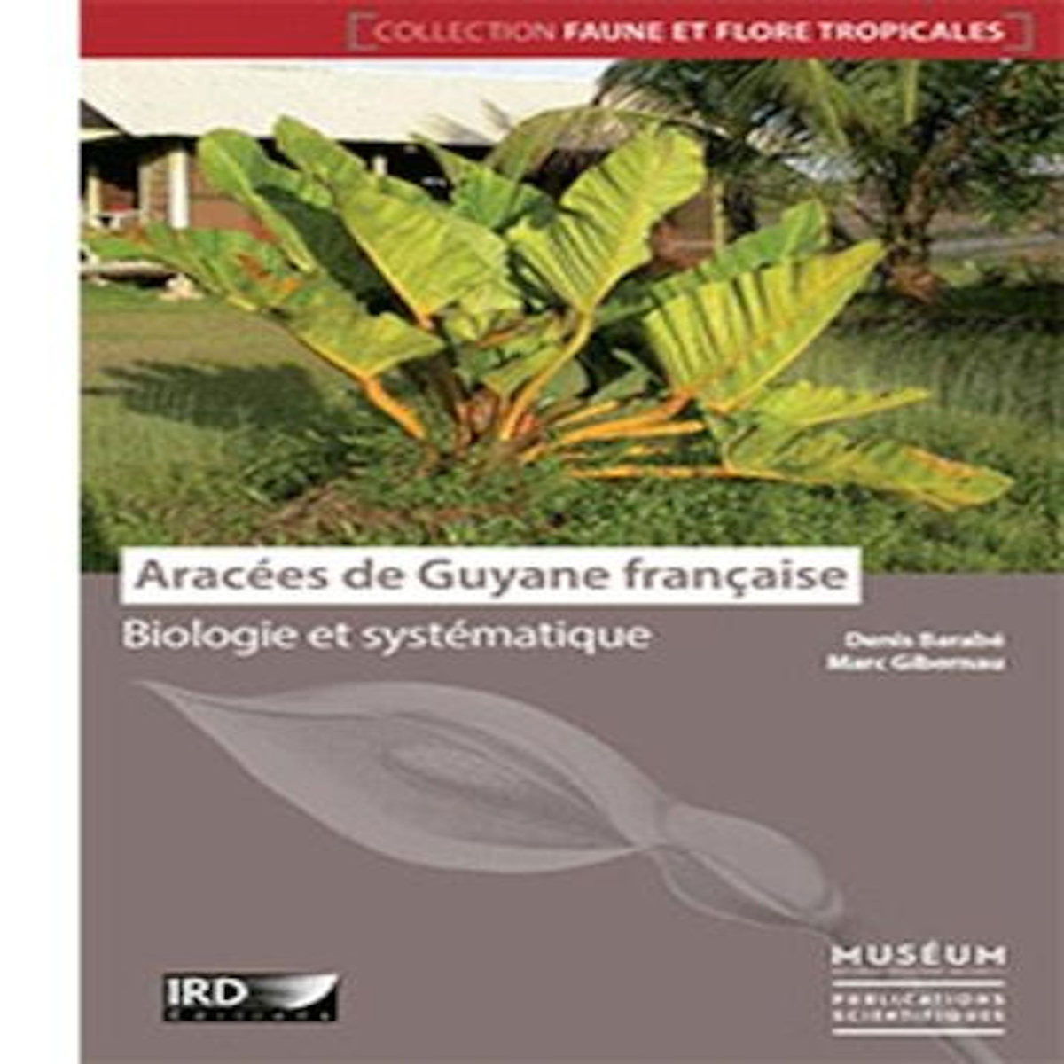 ARACEES DE GUYANE FRANCAISE. BIOLOGIE ET SYSTEMATIQUE, Barabé Denis