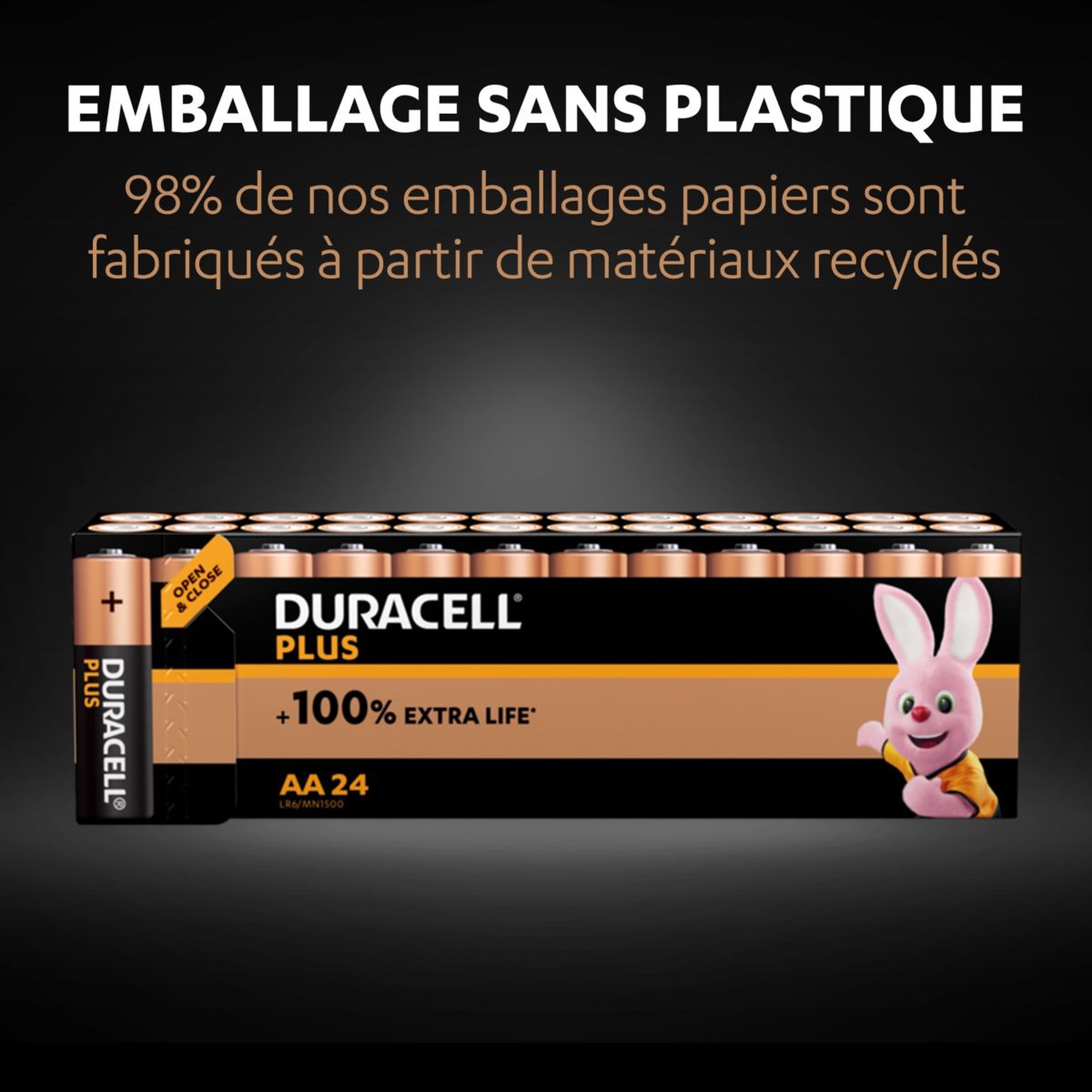 Voir la diapositive 5 : DURACELL Lot de 24 piles duracell plus 100 % AA panière