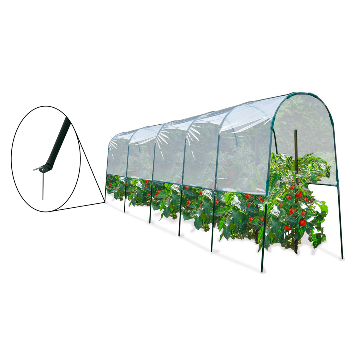 ID MARKET Serre à tomates 6 M