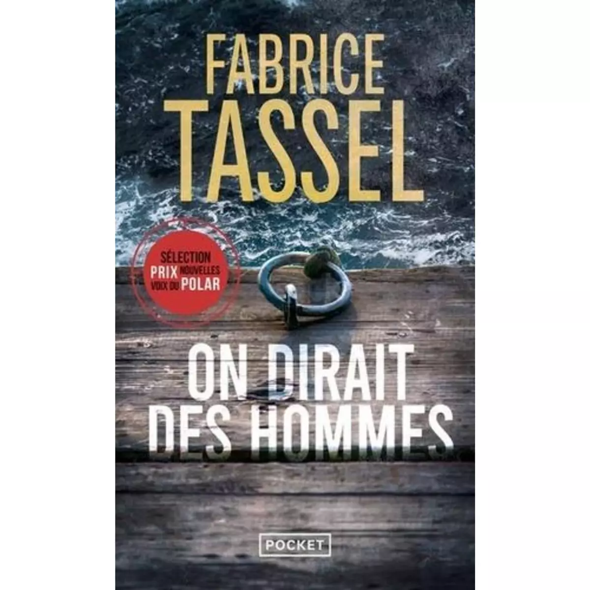  ON DIRAIT DES HOMMES, Tassel Fabrice