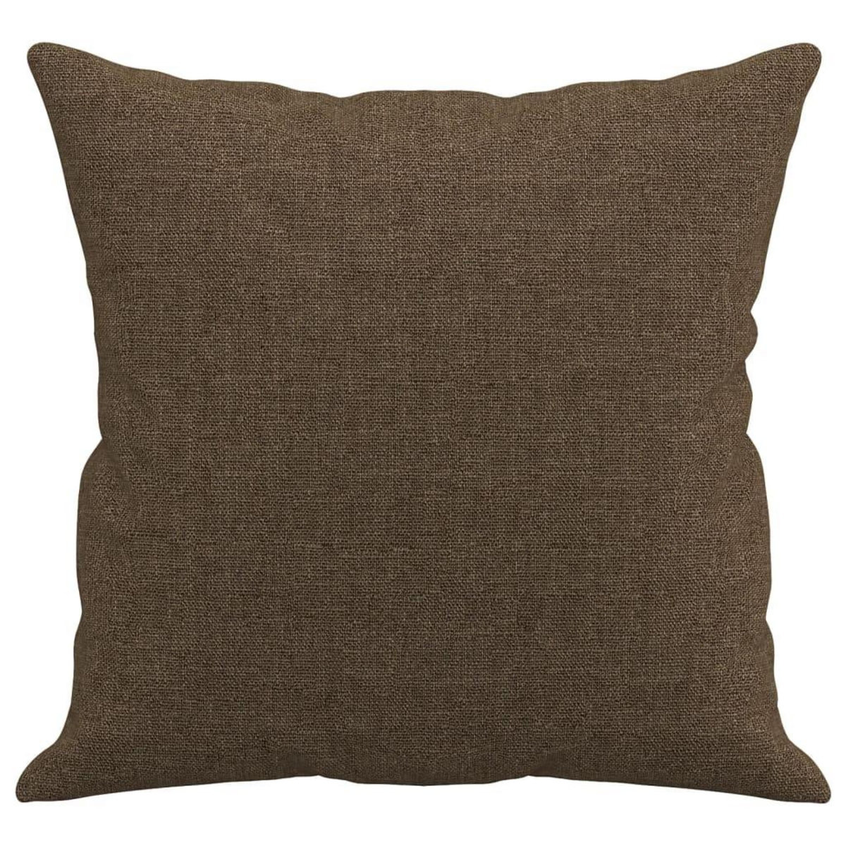 VIDAXL Coussins decoratifs lot de 2 Marron 40x40 cm Tissu