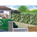 Nortene Toile de paillage 1.25 x 10 m AGROSOL