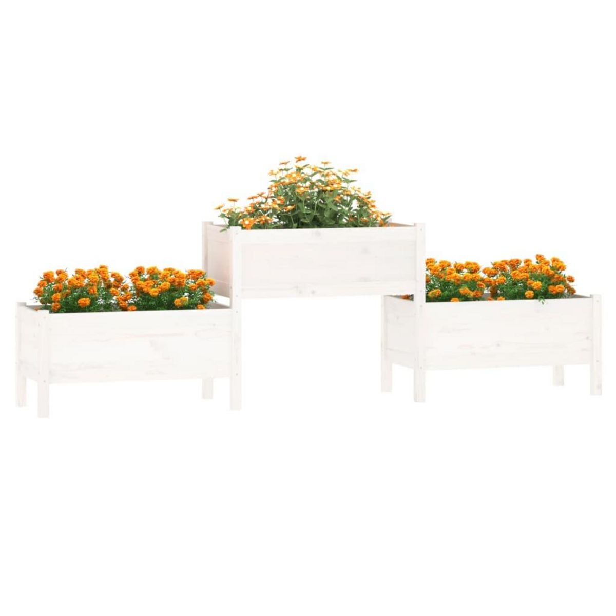 VIDAXL Jardiniere Blanc 245,5x44x75 cm Bois massif de pin