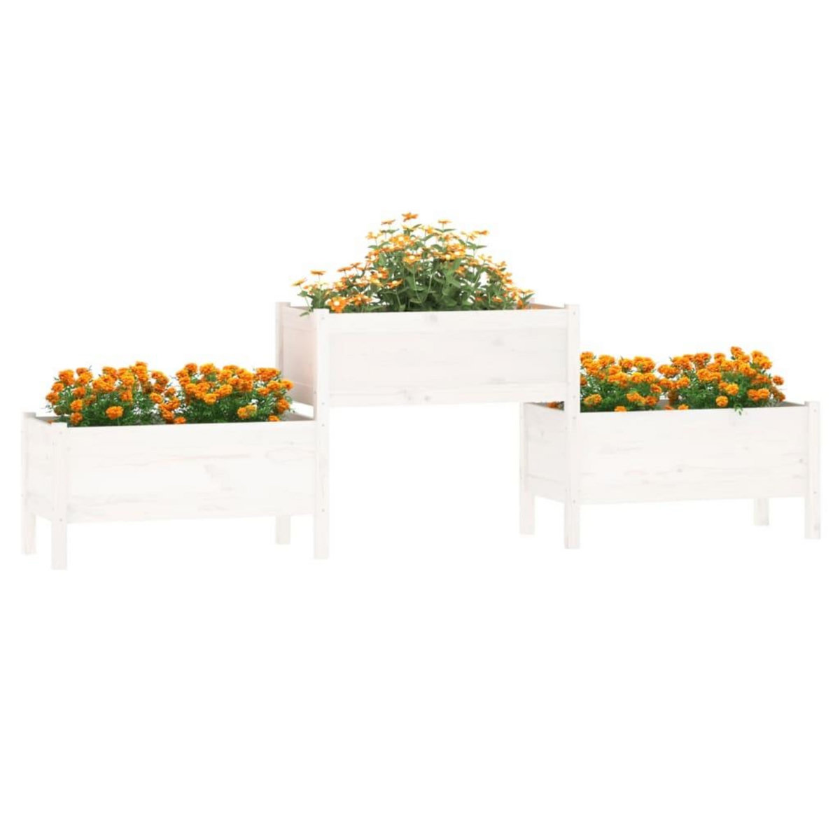 VIDAXL Jardiniere Blanc 245,5x44x75 cm Bois massif de pin