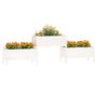 Voir la diapositive 3 : VIDAXL Jardiniere Blanc 245,5x44x75 cm Bois massif de pin